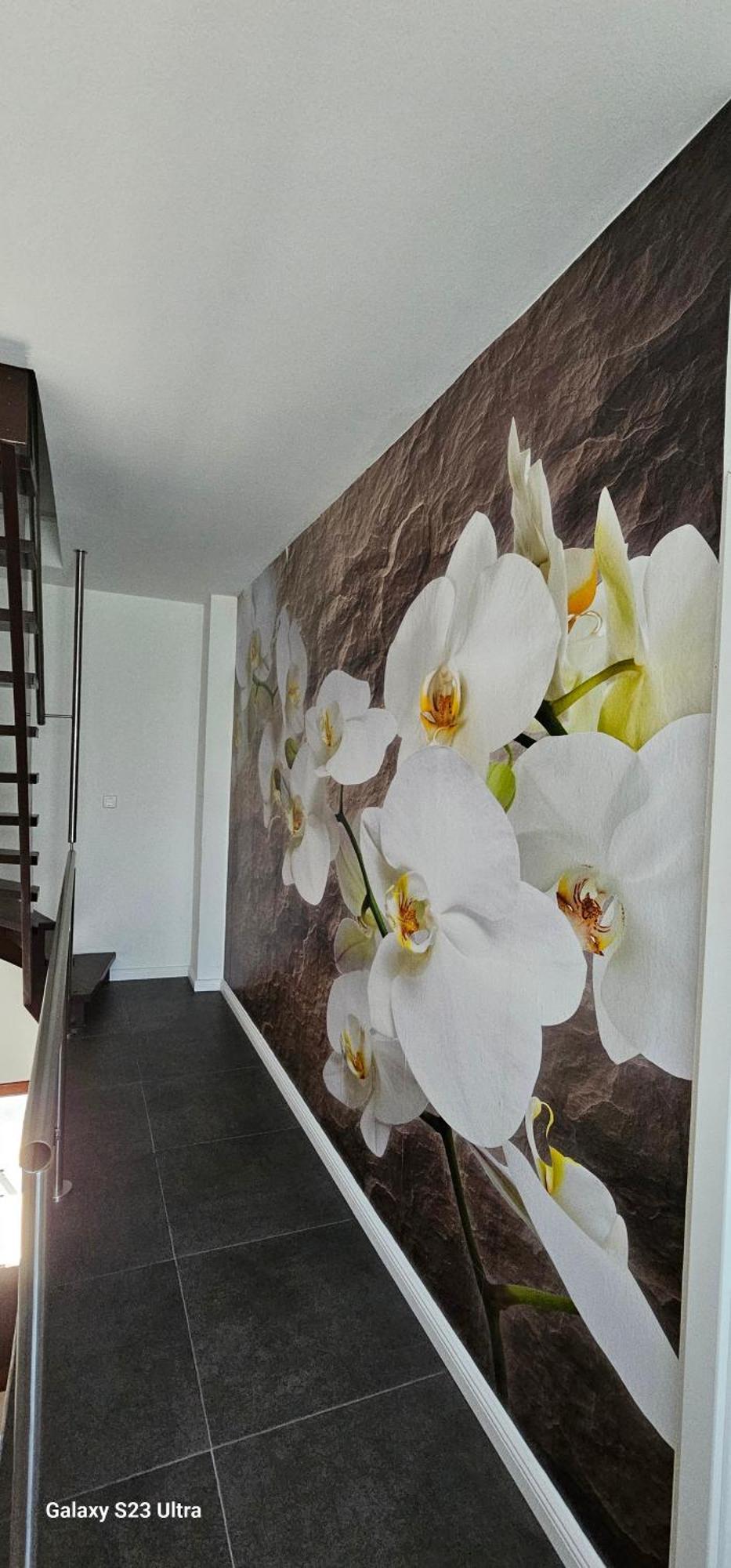 Gaestehaus Orchidee Hoya Buitenkant foto